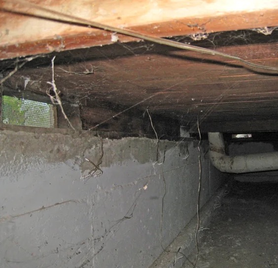 Crawl Space Water Damage Repair in White House, TN