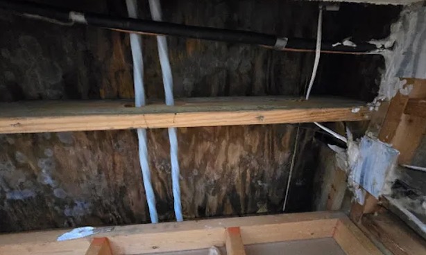 Attic Damage Restoration in Nashville, TN